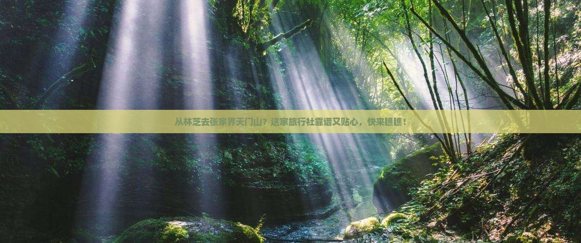 林芝到张家界天门山旅行社