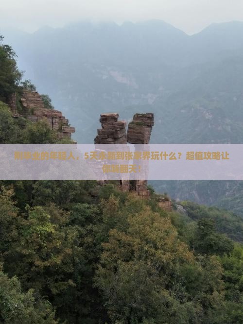 永新到张家界森林公园五日游