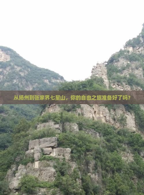 扬州到张家界七星山自由团