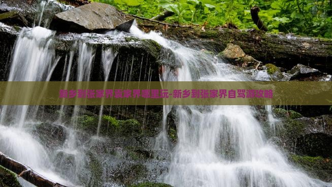 新乡到张家界袁家界哪里玩