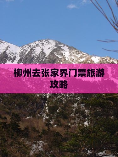 柳州去张家界门票