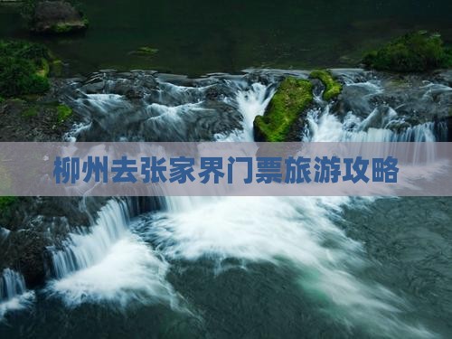 柳州去张家界门票