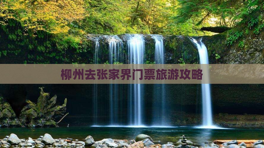 柳州去张家界门票