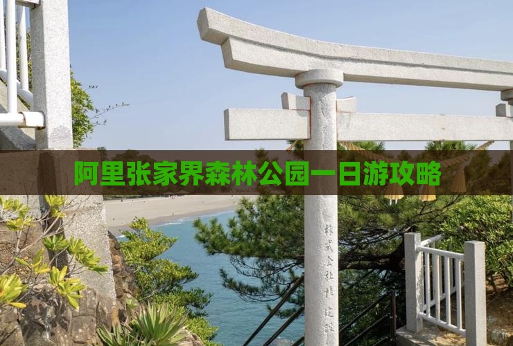 阿里去张家界森林公园一日