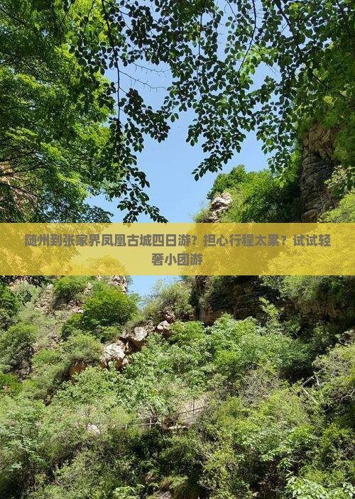 随州到张家界凤凰古城四日游