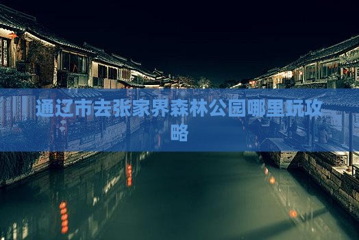 通辽市去张家界森林公园哪里玩