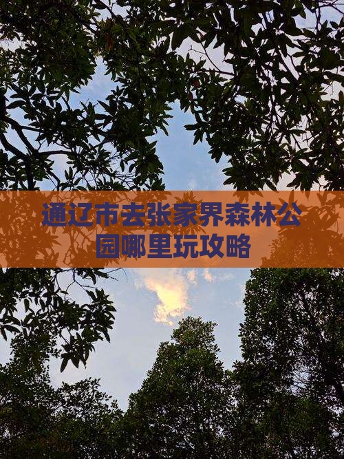 通辽市去张家界森林公园哪里玩