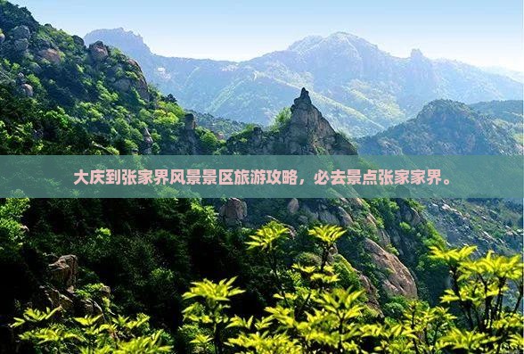大庆到张家界袁家界必去地