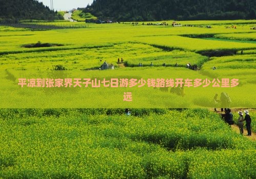 平凉到张家界天子山七日游