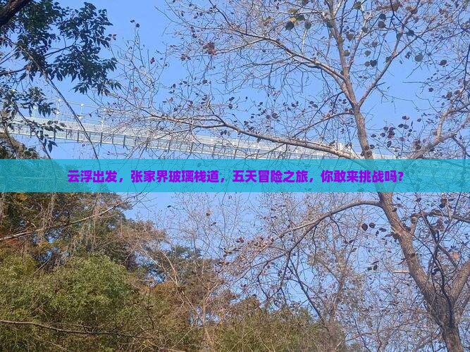云浮去张家界玻璃栈道五日游