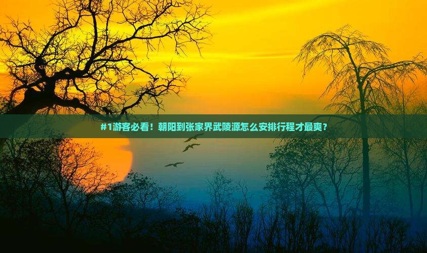 朝阳去张家界武陵源攻略