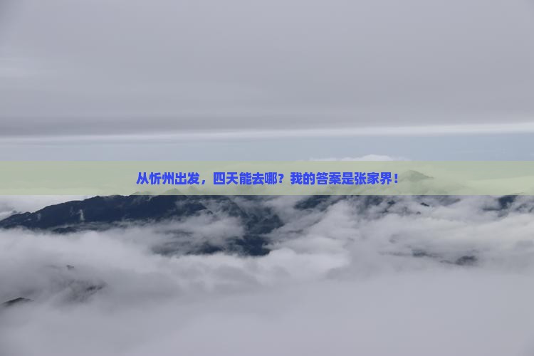 忻州到张家界四日游