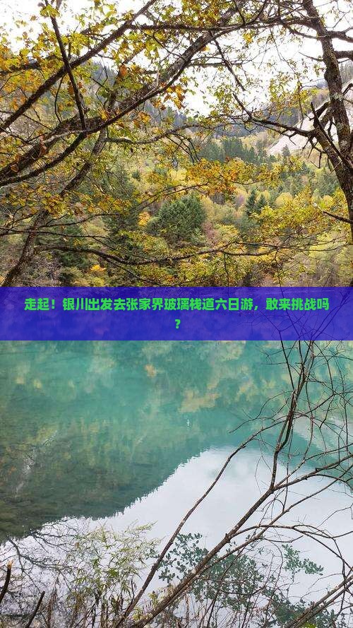 银川去张家界玻璃栈道六日游