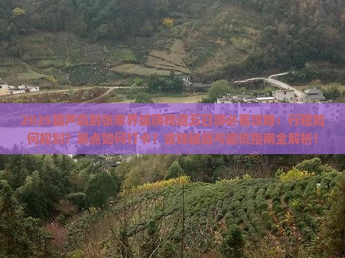 葫芦岛到张家界玻璃栈道五日游