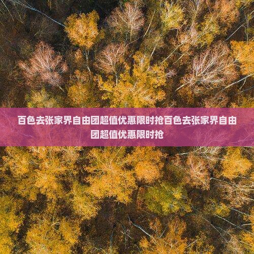 百色去张家界自由团