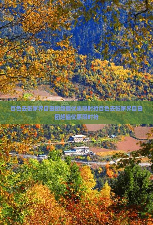 百色去张家界自由团