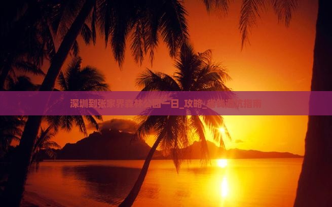 深圳到张家界森林公园一日