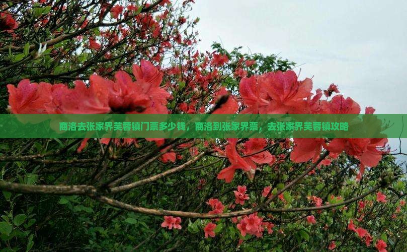 商洛去张家界芙蓉镇门票