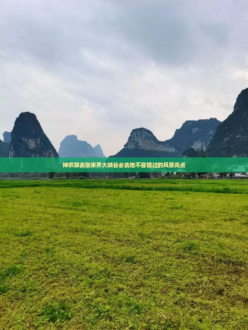 神农架去张家界大峡谷必去地