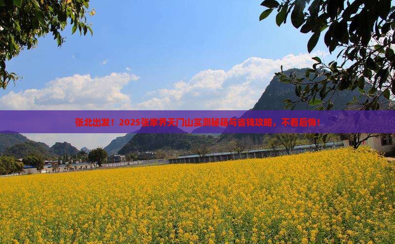 张北去张家界天门山旅行社