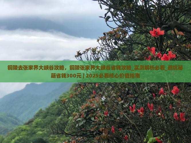 铜陵去张家界大峡谷攻略