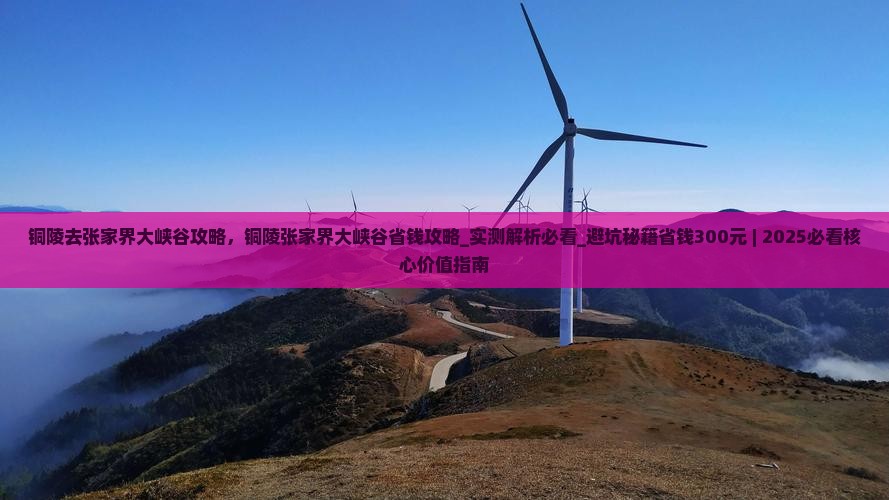 铜陵去张家界大峡谷攻略