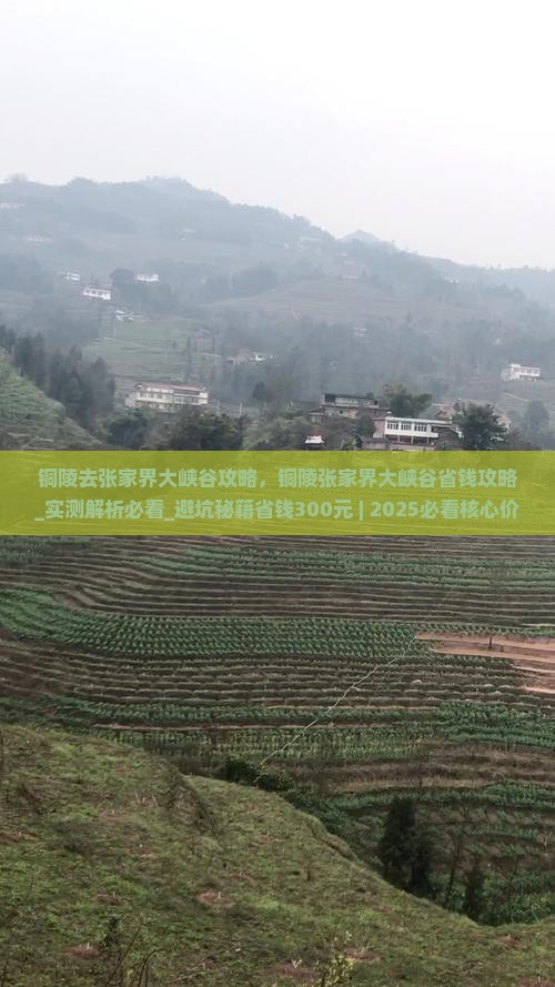 铜陵去张家界大峡谷攻略