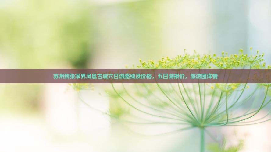 苏州到张家界凤凰古城六日游