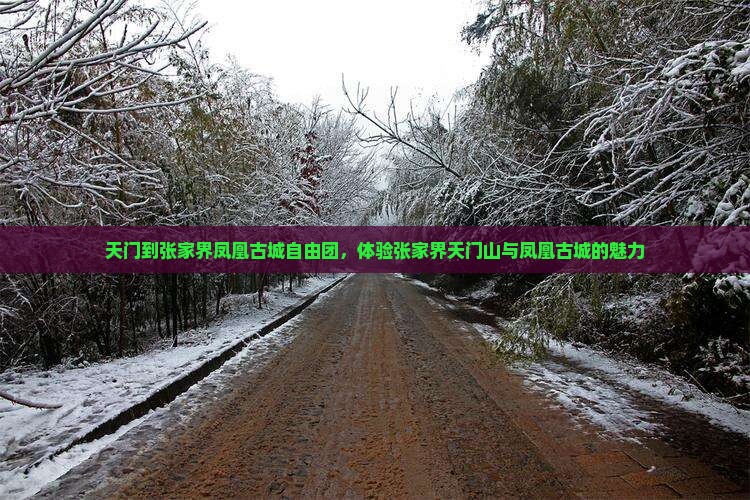 天门到张家界凤凰古城自由团