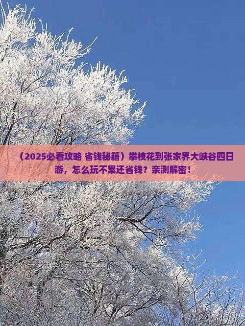 攀枝花到张家界大峡谷四日游