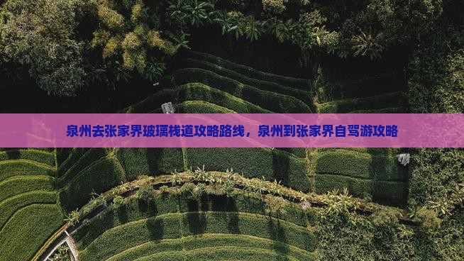 泉州去张家界玻璃栈道攻略