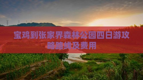 宝鸡到张家界森林公园四日游
