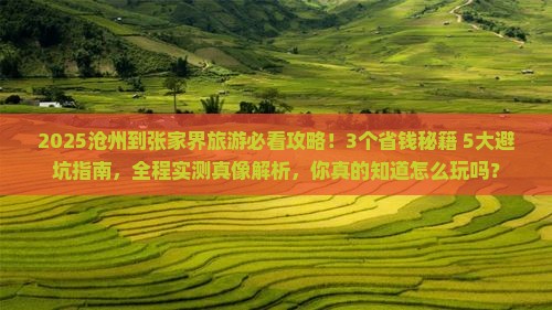 沧州到张家界旅游