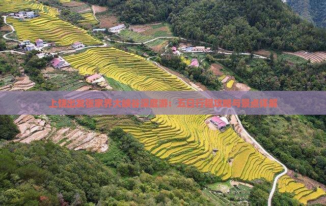 上饶出发张家界大峡谷深度游：五日行程攻略与景点详解