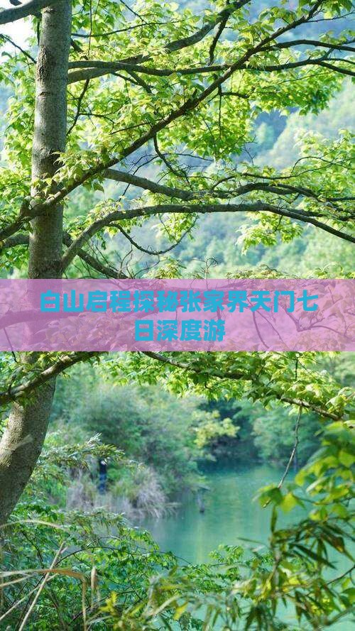 白山启程探秘张家界天门七日深度游