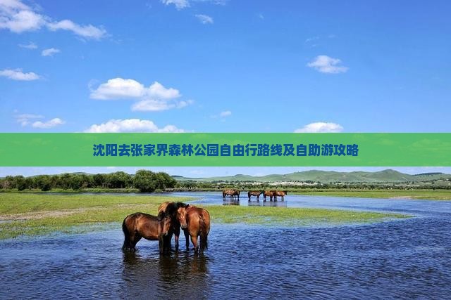 沈阳去张家界森林公园自由行路线及自助游攻略