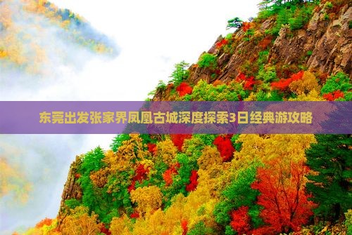 东莞出发张家界凤凰古城深度探索3日经典游攻略