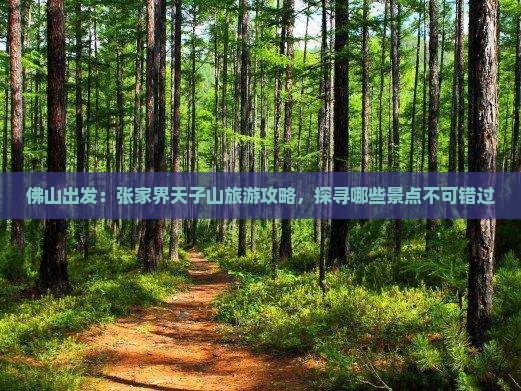 佛山出发：张家界天子山旅游攻略，探寻哪些景点不可错过