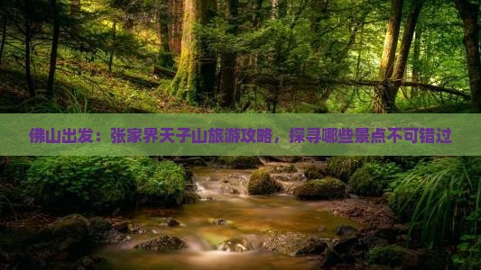 佛山出发：张家界天子山旅游攻略，探寻哪些景点不可错过