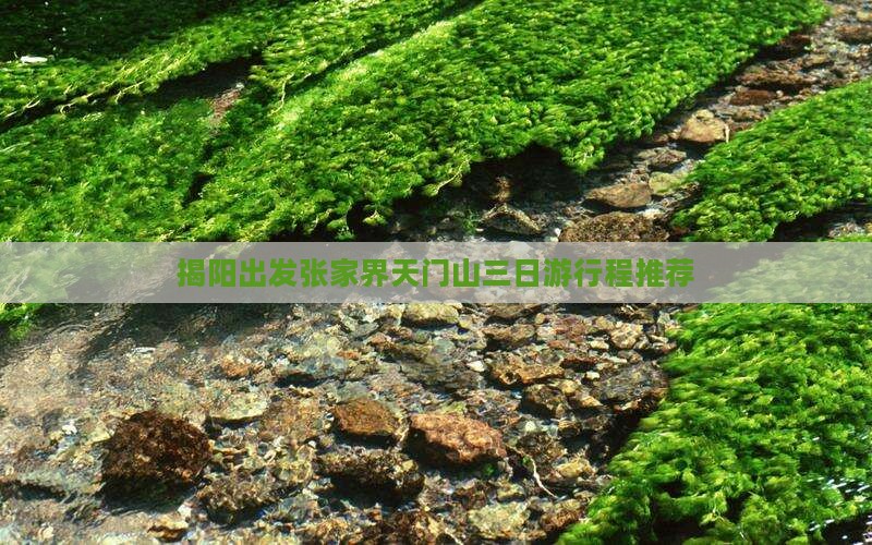 揭阳出发张家界天门山三日游行程推荐