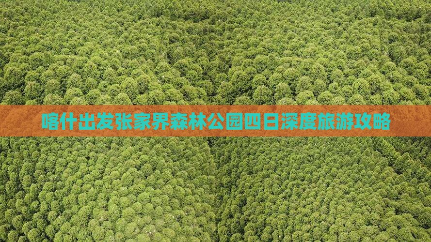 喀什出发张家界森林公园四日深度旅游攻略