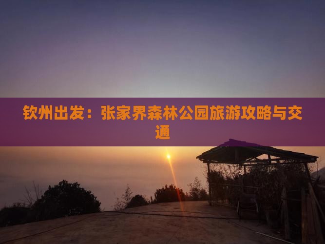 钦州出发：张家界森林公园旅游攻略与交通