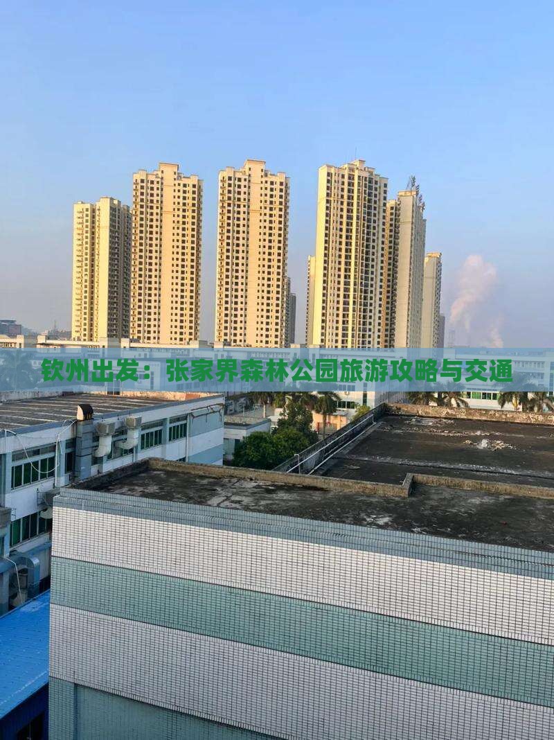 钦州出发：张家界森林公园旅游攻略与交通