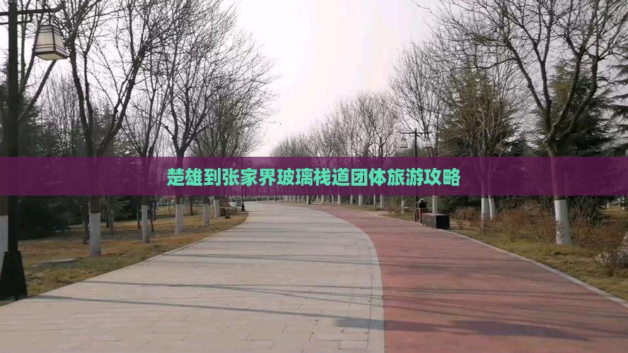 楚雄到张家界玻璃栈道团体旅游攻略