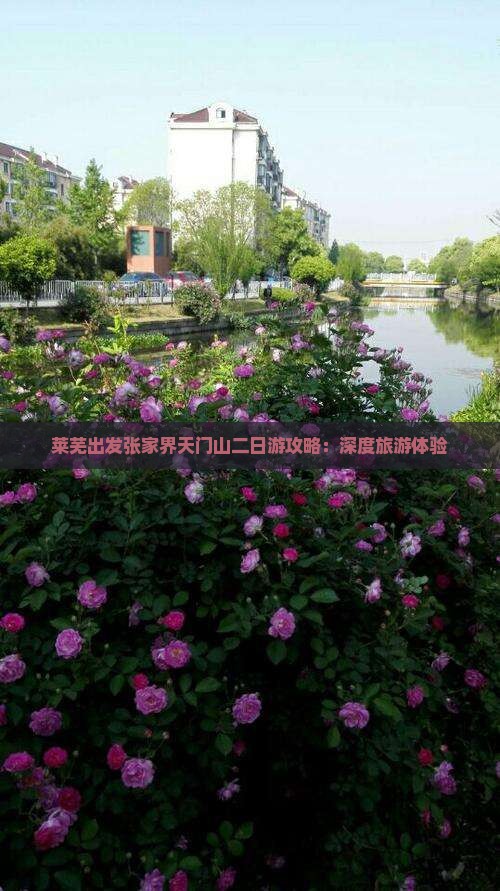 莱芜出发张家界天门山二日游攻略：深度旅游体验