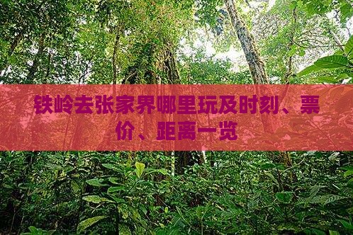 铁岭去张家界哪里玩及时刻、票价、距离一览