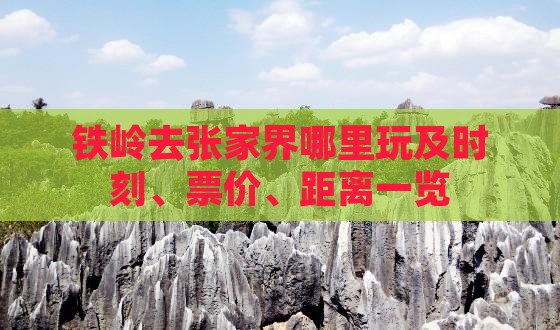 铁岭去张家界哪里玩及时刻、票价、距离一览