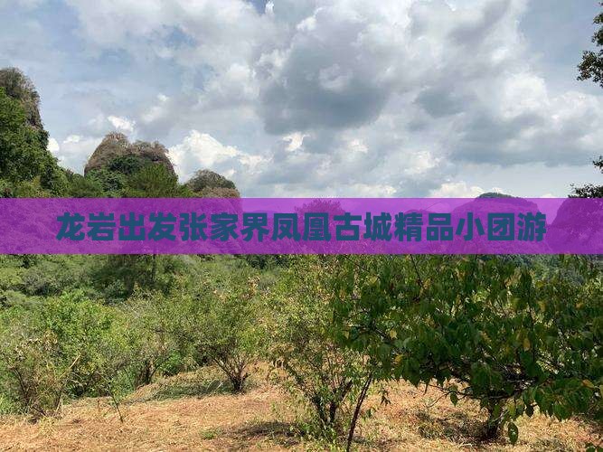 龙岩出发张家界凤凰古城精品小团游