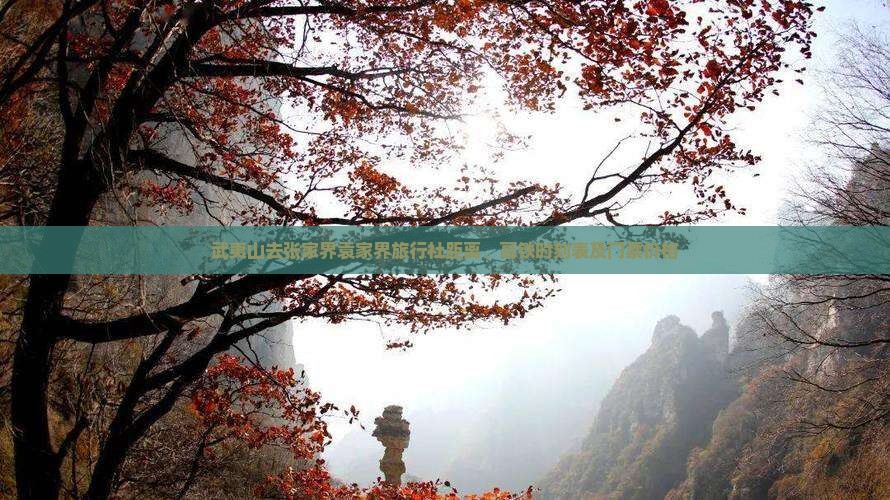 武夷山去张家界袁家界旅行社距离、高铁时刻表及门票价格