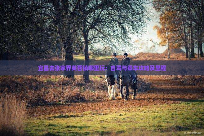宜昌去张家界芙蓉镇哪里玩：自驾与乘车攻略及里程